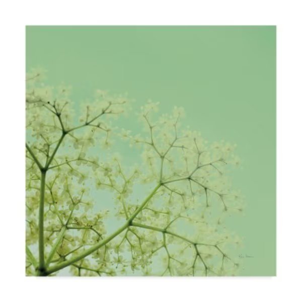 Keri Bevan 'Cuckoo Flowers' Canvas Art, 14x14, Trademark Fine Art, Mfr#: WAP02530-C1414GG